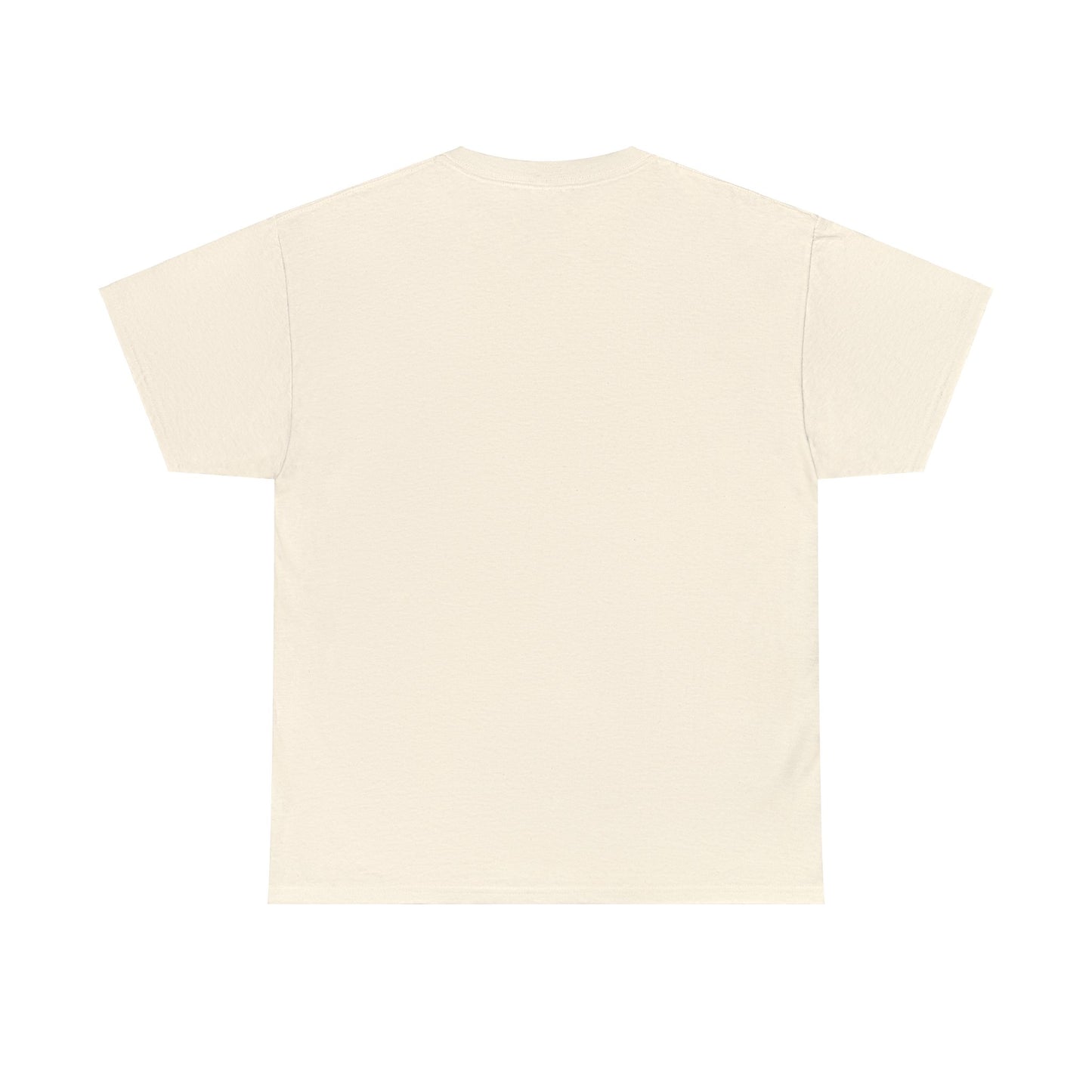 Back To Basics - Unisex Heavy Cotton Tee